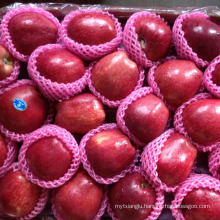 huaniu apple price tianshui huaniu Gansu huaniu